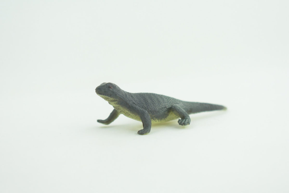 Gray's Monitor Lizard, Rubber Reptile, Hand Painted, Educational, Realistic, Model, Replica, Toys, Kids, Gift,   2 Inches.    WR43 B197