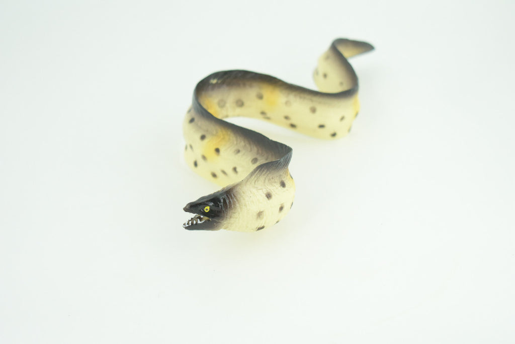 Moray Eel, Hand Painted, Museum Quality, Educational, Rubber Fish, Saltwater Eel, Realistic, Diorama, Toy, Kids, Gift,   9 Inches.  CH791 BB186