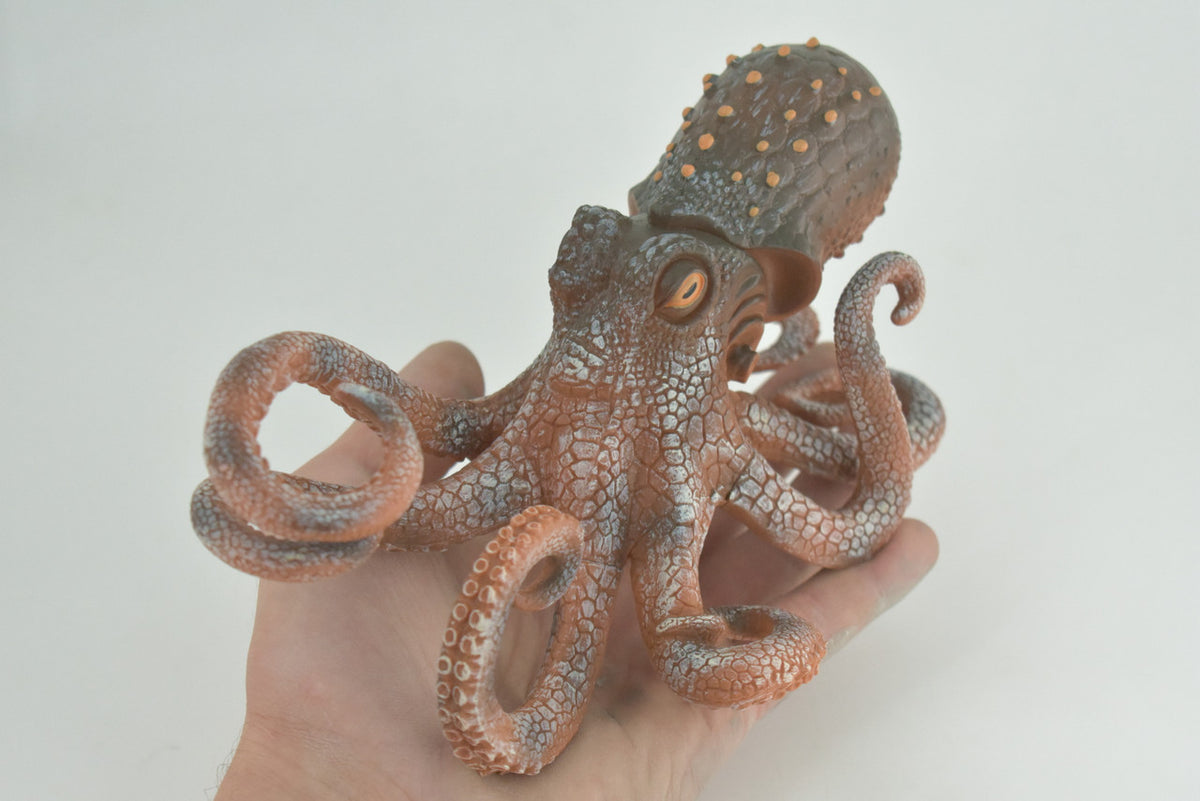  Octopus, Octopodes, Octopoda, Octopi, Ocean, Hand Painted, Rubber Realistic Toy Figure, Diorama, Model, Replica, Kids, Educational, Gift, 8 Inches CH1000 BB219