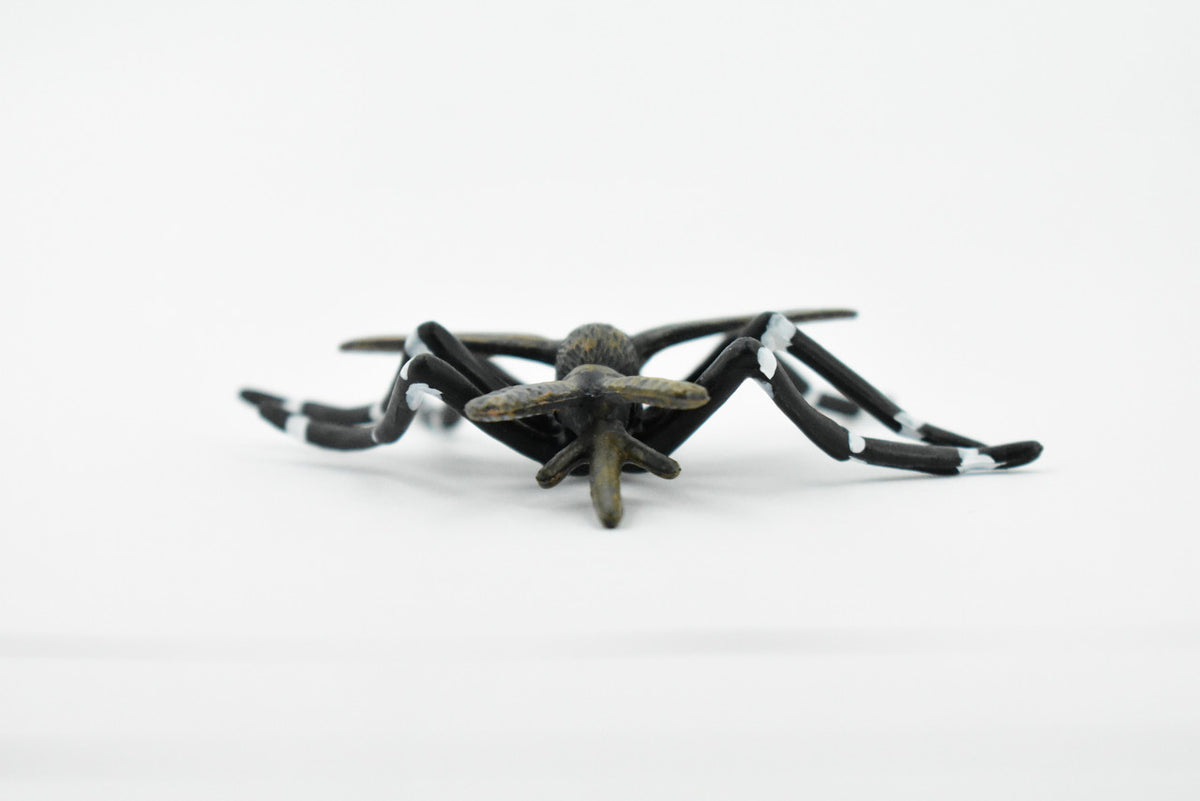 Mosquito, Black, Very Nice Rubber Figure, Educational, Hand Painted, Rubber Insect, Figure, Diorama Model, Realistic, Kids, Toys,  3 Inches. 