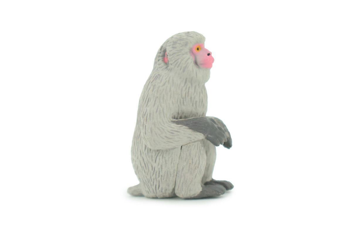 Japanese Macaque, Snow Monkey, Hand Painted, Educational, Rubber Primate, Realistic Figure, Lifelike, Gift,    1 1/2 "    SF59 B16