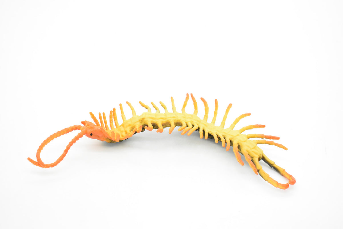 Centipede, Arthropods, Chilopoda, Museum Quality, Rubber Insect, Hand Painted, Realistic Toy Figure, Diorama Model, Kids, Educational,  7 Inches. 