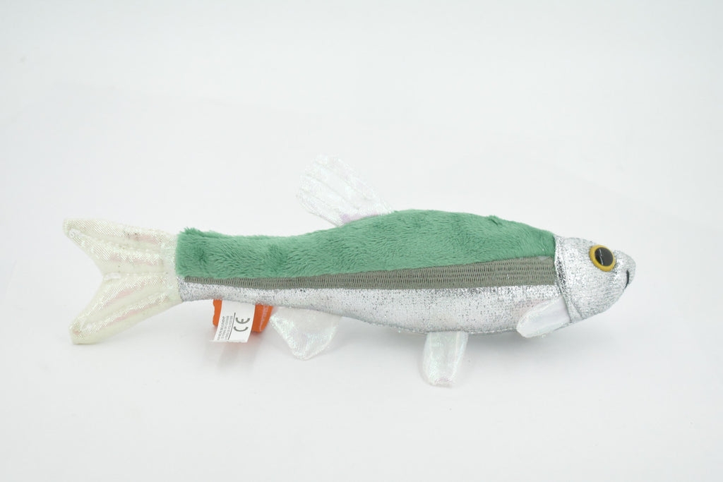 Fish, Minnow, Cyprinidae and Leuciscidae. Stuffed Fish, Educational, Realistic Hand Designed, Figure, Lifelike Figurine, Replica, Gift,       9"     F3414 B323