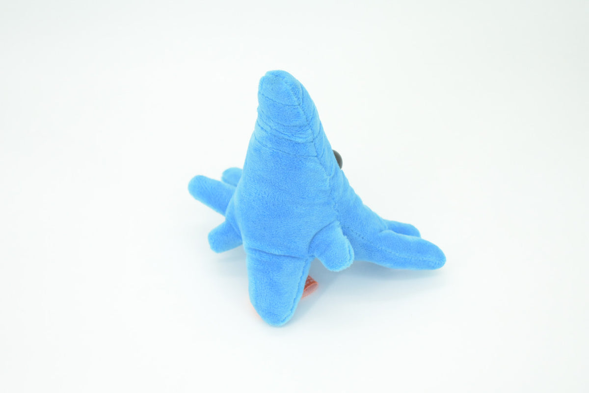 Amoeba, Microscopic creatures, Plush Amoeba proteus Design, Educational, Figure, Replica, Gift,    6"     GM01 B108