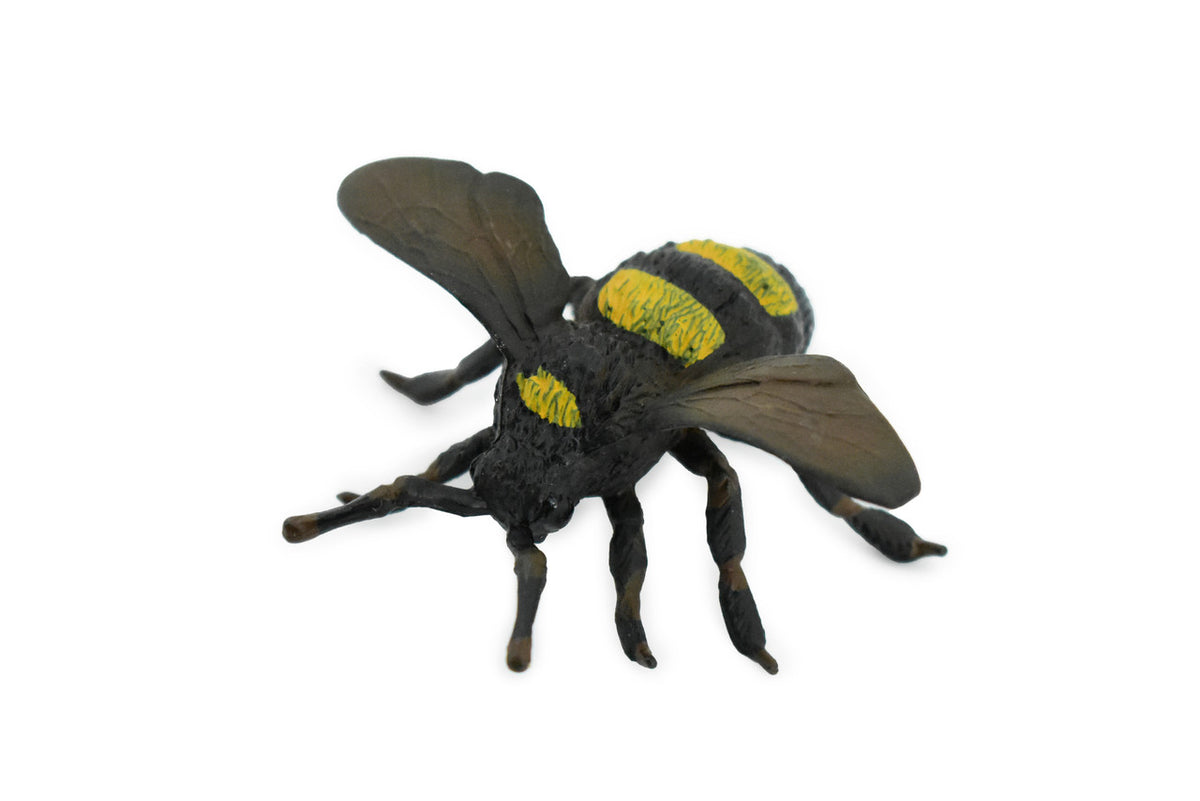 Bee, Bumblebee, Hornet, Yellowjacket, Museum Quality, Rubber Insect, Hand Painted, Realistic Toy Figure, Diorama Model, Kids, Educational, 2 1/2 Inches