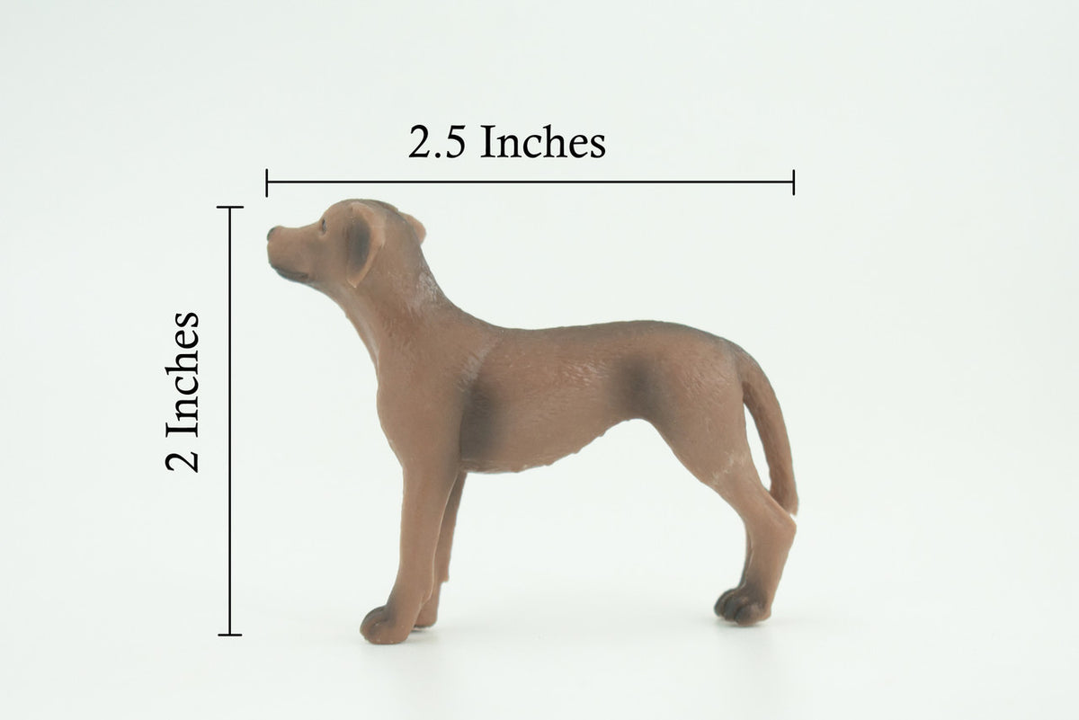 Rhodesian Ridgeback Dog, Rubber Canine, Hand Painted, Realistic Toy Figure, Model, Replica, Kids, Educational, Gift, 2 1/2 Inches