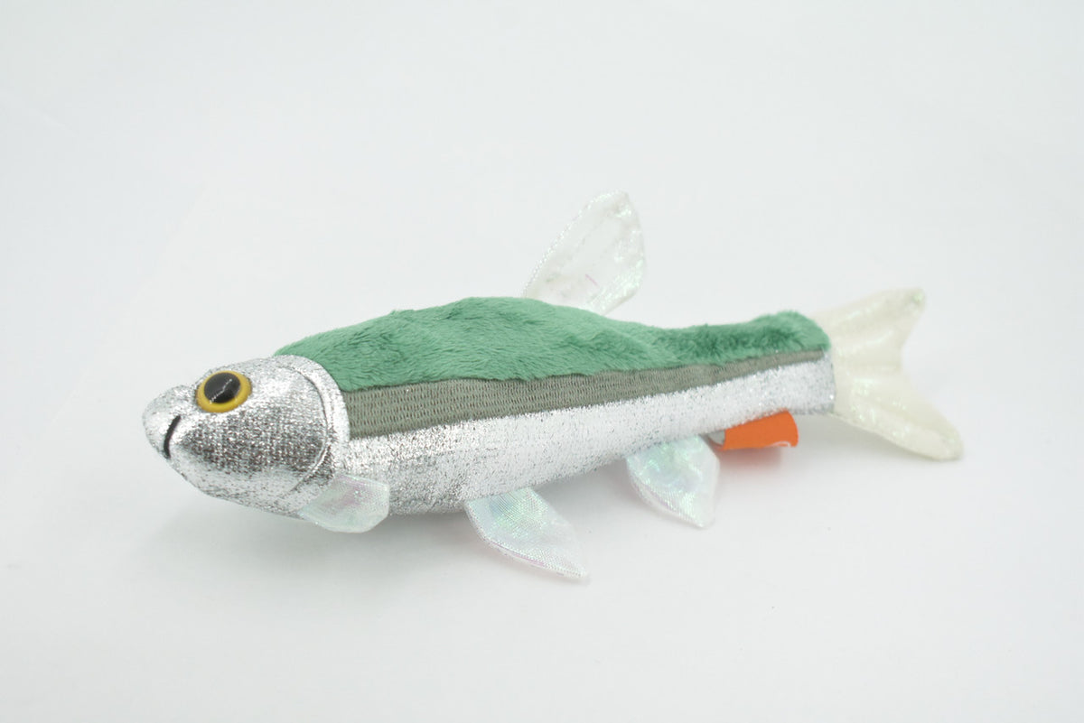 Fish, Minnow, Cyprinidae and Leuciscidae. Stuffed Fish, Educational, Realistic Hand Designed, Figure, Lifelike Figurine, Replica, Gift,       9"     F3414 B323