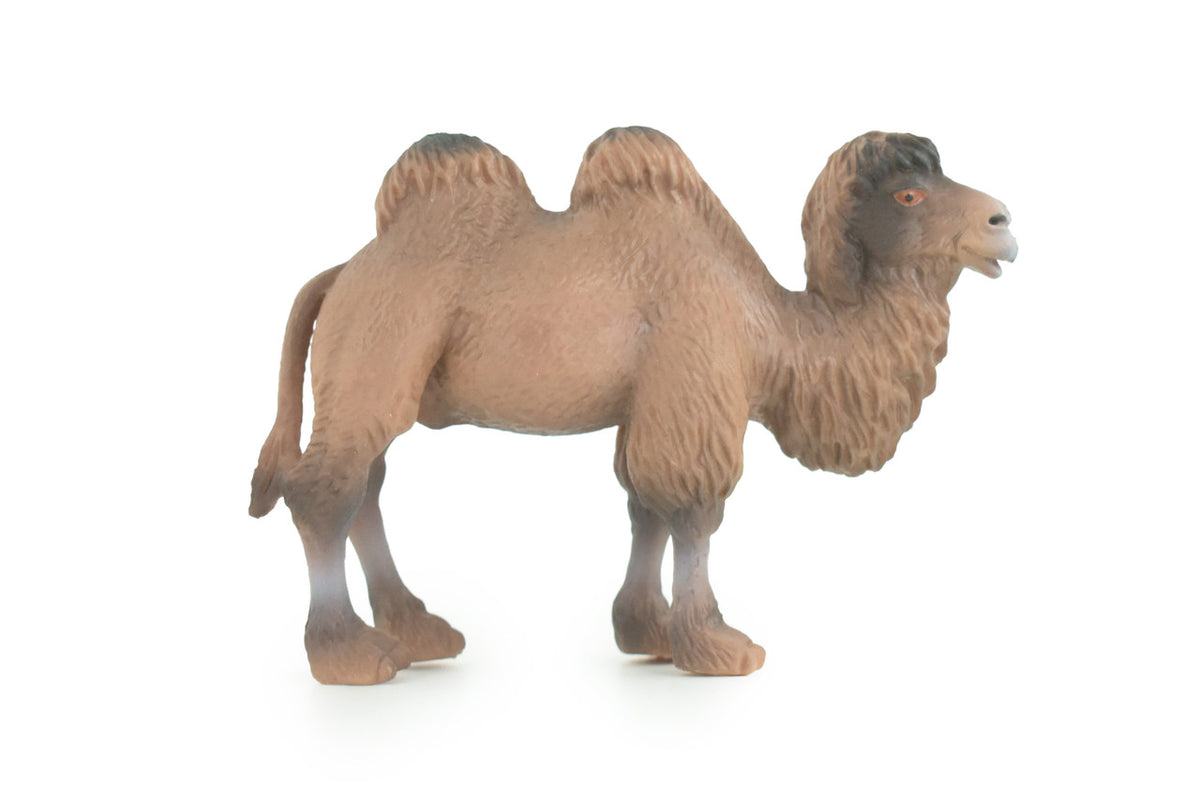 Camel, Two Humped, Bactrian camel, Museum Quality, Educational, Hand Painted, Rubber Animal, Realistic, Diorama, Toy, Kids, Gift, 5 Inches. CH970 BB212