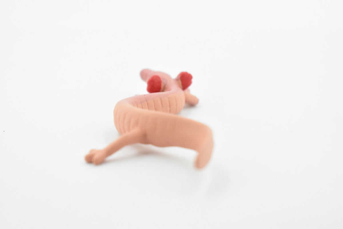 Salamander, Cave, Rubber Amphibian, Educational, Realistic, Hand Painted, Figure, Lifelike Model, Figurine, Replica, Gift,     3 1/2"      F769 B625