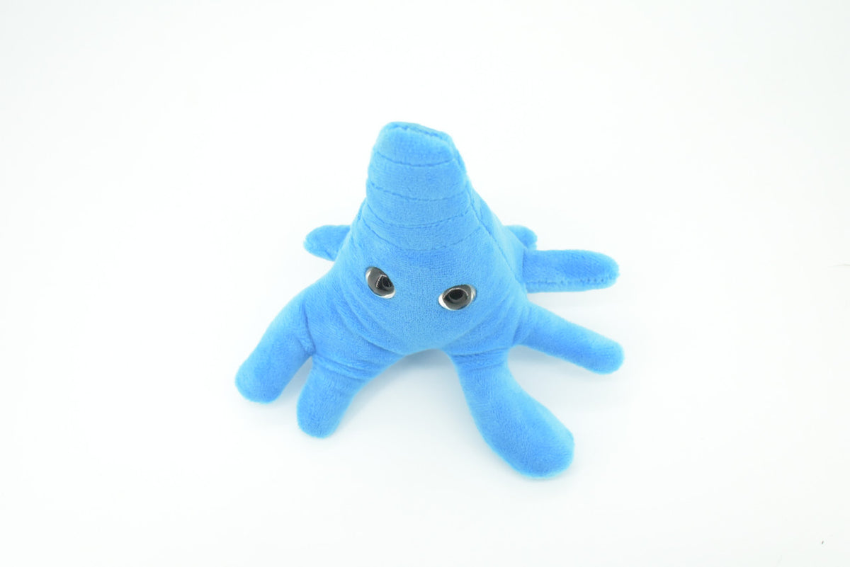 Amoeba, Microscopic creatures, Plush Amoeba proteus Design, Educational, Figure, Replica, Gift,    6"     GM01 B108