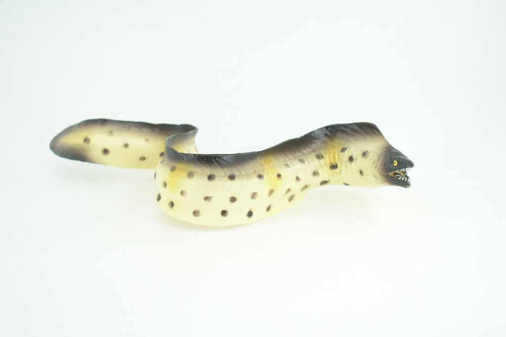 Moray Eel, Hand Painted, Museum Quality, Educational, Rubber Fish, Saltwater Eel, Realistic, Diorama, Toy, Kids, Gift,   9 Inches.  CH791 BB186