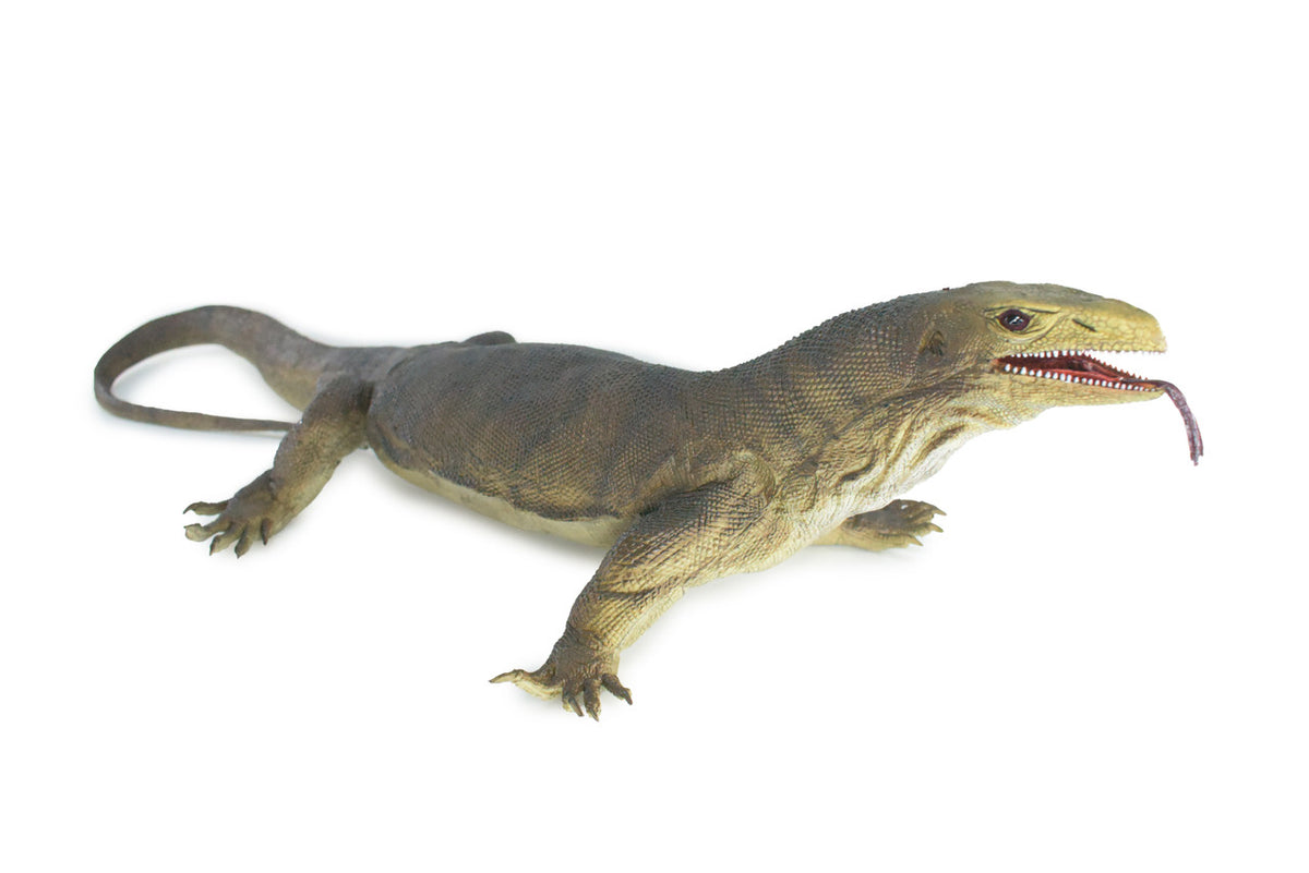 Monitor Lizard, Very Large, Hand Painted, Museum Quality, Hard Rubber Lizard, Realistic Reptile, Model, Replica, Educational,  40 Inches Long, 6 Inches Tall.