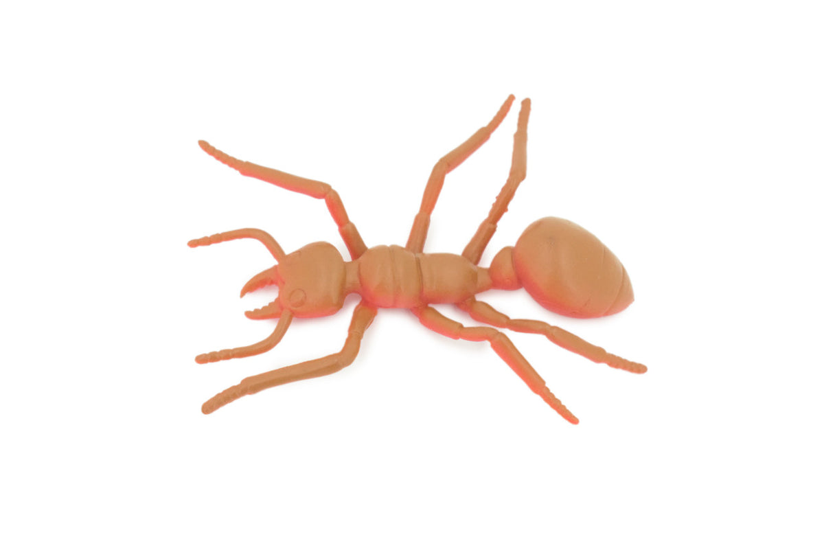 Red Ant, Very Nice Rubber Insect, Educational, Realistic Hand Painted, Figure, Lifelike Model, Figurine, Replica, Gift, 2" US24 B44
