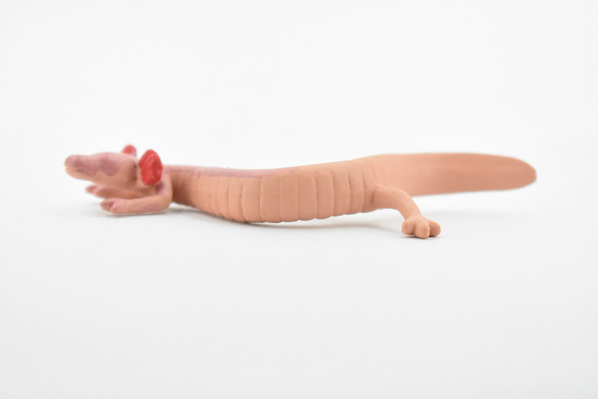Salamander, Cave, Rubber Amphibian, Educational, Realistic, Hand Painted, Figure, Lifelike Model, Figurine, Replica, Gift,     3 1/2"      F769 B625