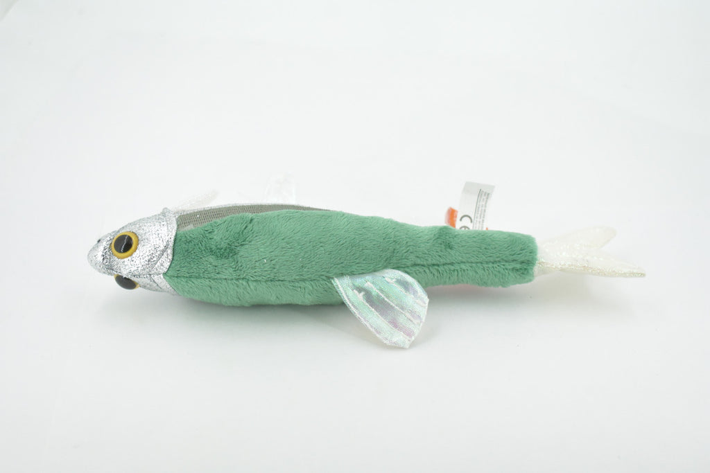 Fish, Minnow, Cyprinidae and Leuciscidae. Stuffed Fish, Educational, Realistic Hand Designed, Figure, Lifelike Figurine, Replica, Gift,       9"     F3414 B323