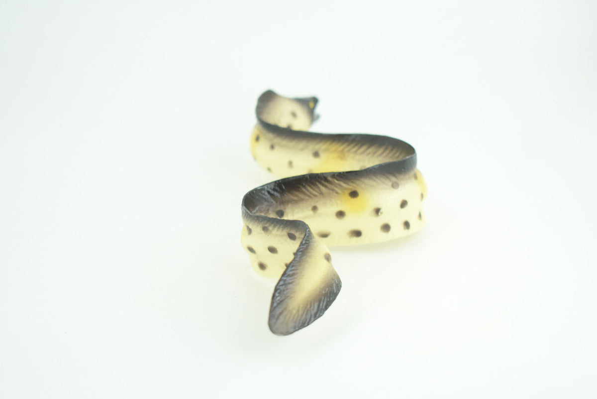 Moray Eel, Hand Painted, Museum Quality, Educational, Rubber Fish, Saltwater Eel, Realistic, Diorama, Toy, Kids, Gift,   9 Inches.  CH791 BB186