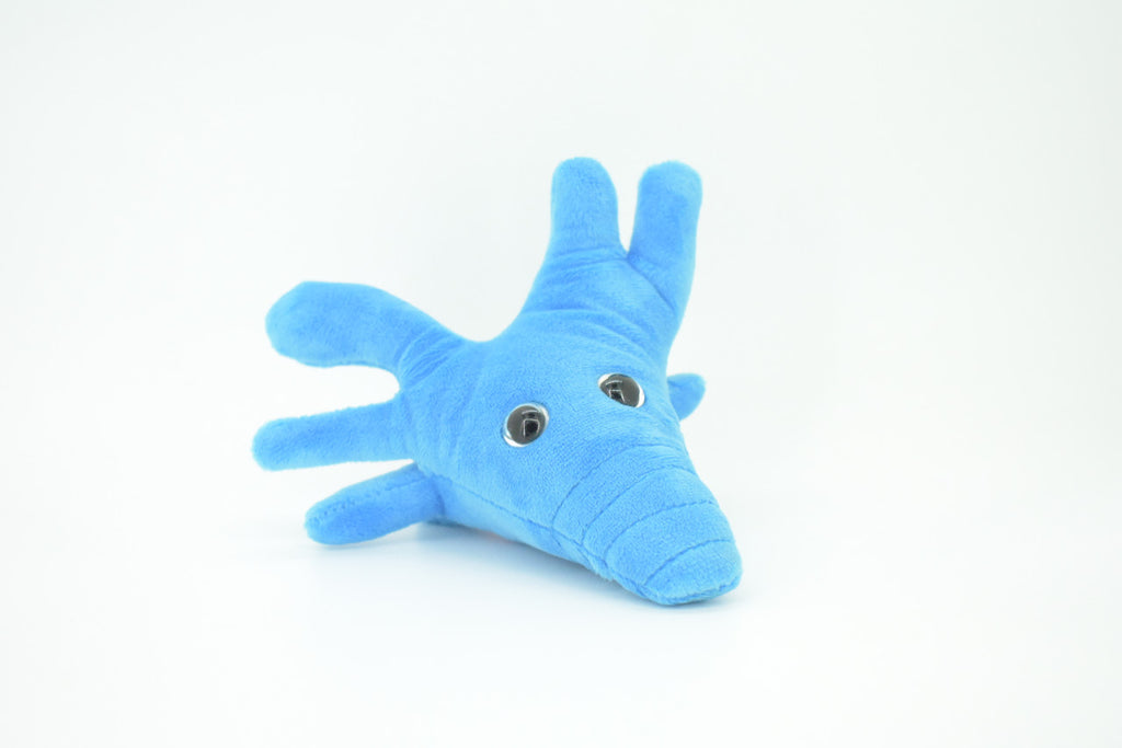 Amoeba, Microscopic creatures, Plush Amoeba proteus Design, Educational, Figure, Replica, Gift,    6"     GM01 B108