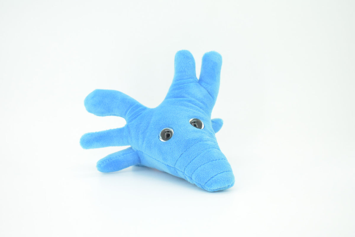 Amoeba, Microscopic creatures, Plush Amoeba proteus Design, Educational, Figure, Replica, Gift,    6"     GM01 B108