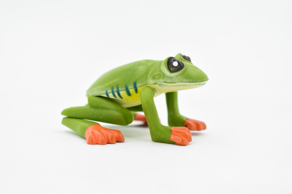 Orange Toed Frog  Adjustable Posable Plastic Toy Realistic Rainforest Figure Model Replica Kids Educational Gift  2" F058 B193