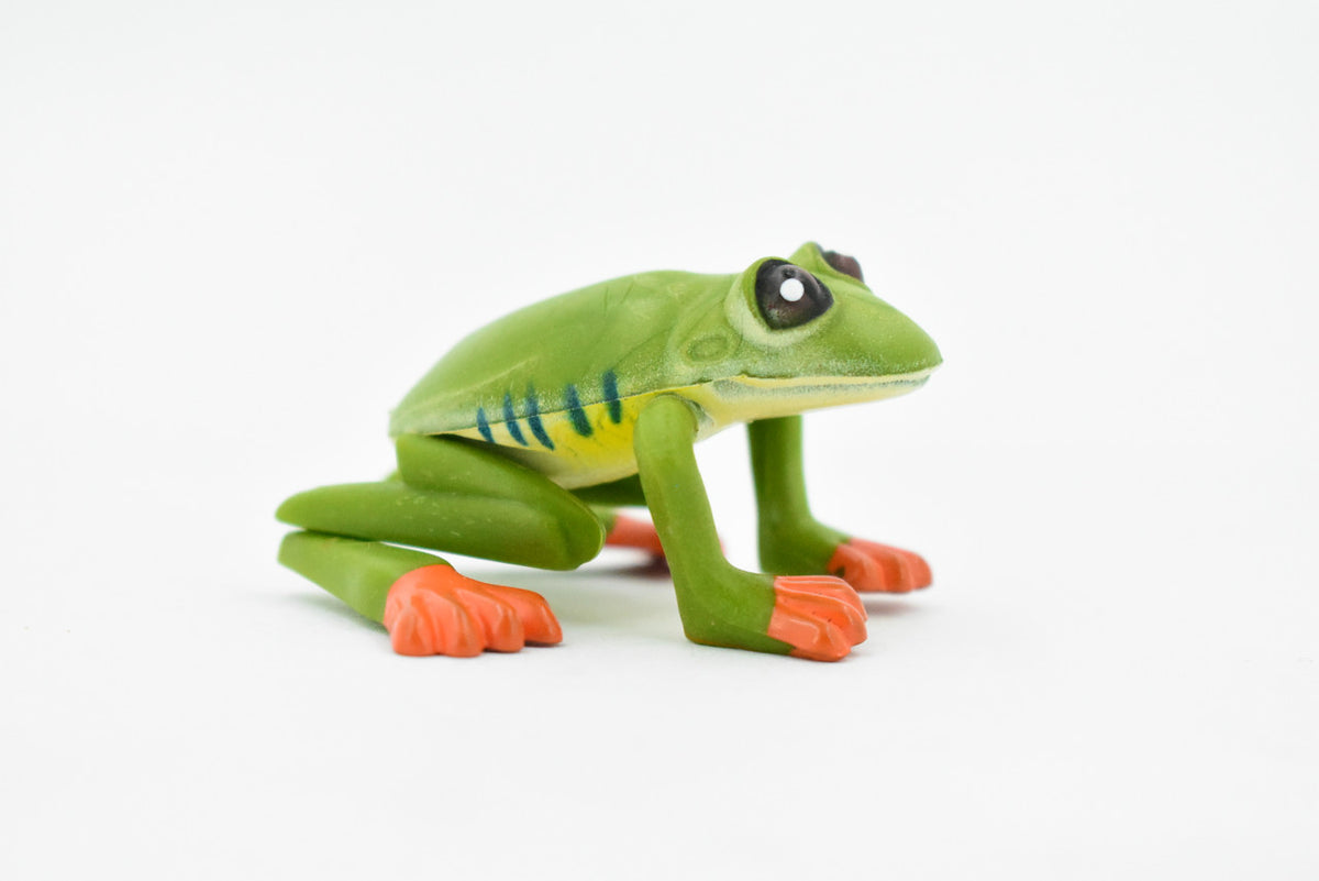 Orange Toed Frog  Adjustable Posable Plastic Toy Realistic Rainforest Figure Model Replica Kids Educational Gift  2" F058 B193