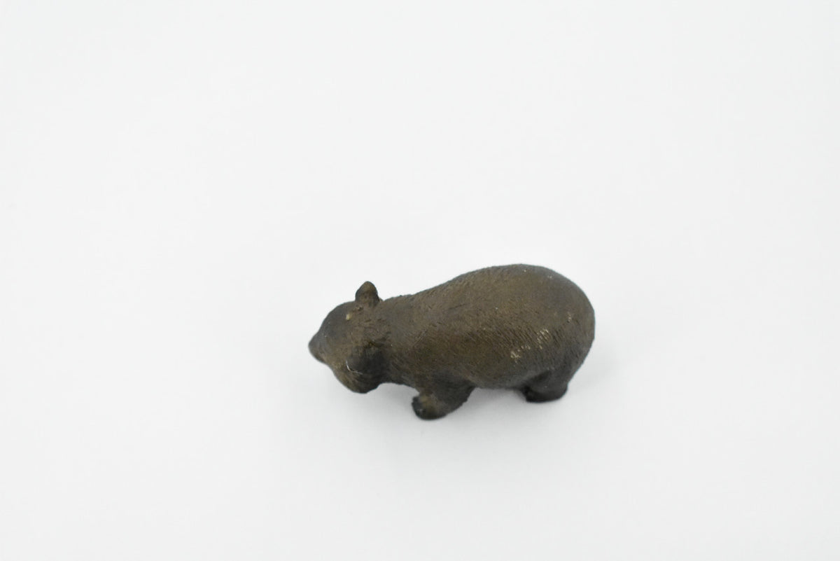 Wombat, Marsupial Animal, Very Nice Design, Hand Painted, Educational, Rubber Animal, Realistic Toy Figure, Diorama Model, Kids, Gift,    2 1/2 Inches     CH305 BB129