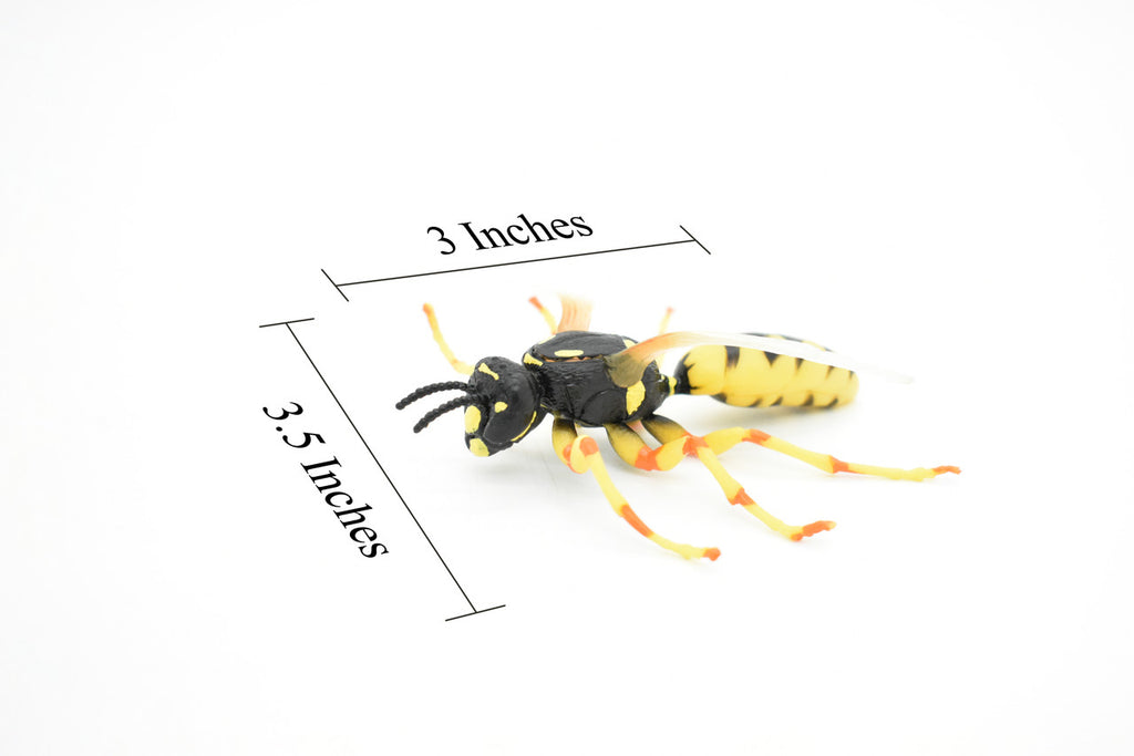 Hornet, Killer, Wasp, Insect, Museum Quality, Rubber Insect, Hand Painted, Realistic Toy Figure, Diorama Model, Kids, Educational, 3 1/2 Inches.