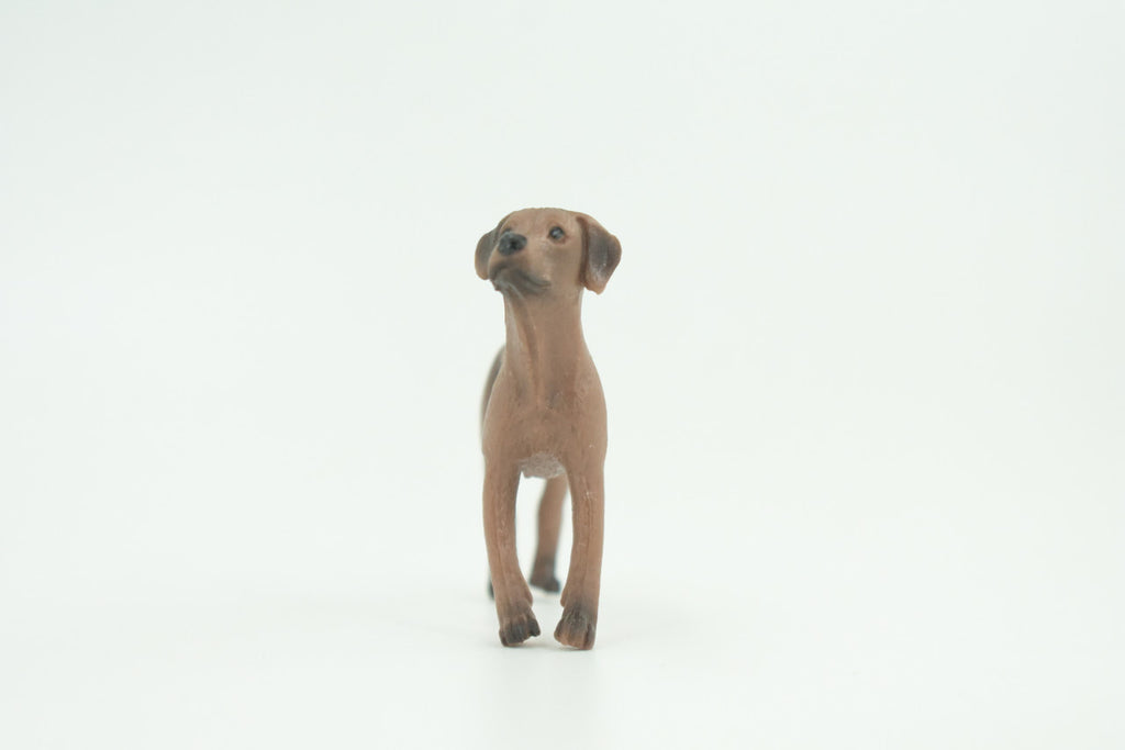 Rhodesian Ridgeback Dog, Rubber Canine, Hand Painted, Realistic Toy Figure, Model, Replica, Kids, Educational, Gift,  2 1/2 Inches. CH732 BB184