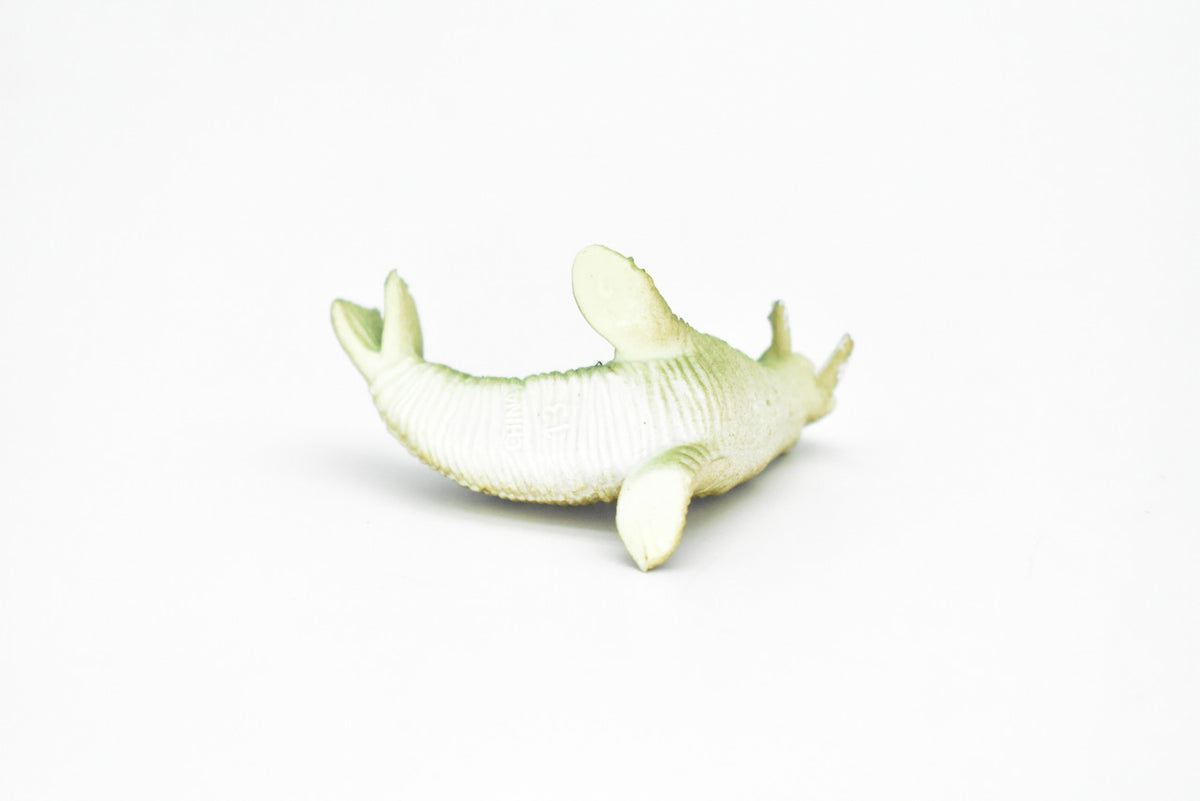 Walrus, Very Nice Plastic Replica    2"  -   F220 B36
