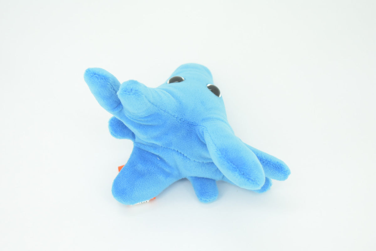 Amoeba, Microscopic creatures, Plush Amoeba proteus Design, Educational, Figure, Replica, Gift,    6"     GM01 B108