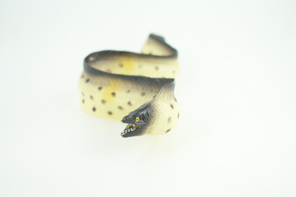 Moray Eel, Hand Painted, Museum Quality, Educational, Rubber Fish, Saltwater Eel, Realistic, Diorama, Toy, Kids, Gift,   9 Inches.  CH791 BB186