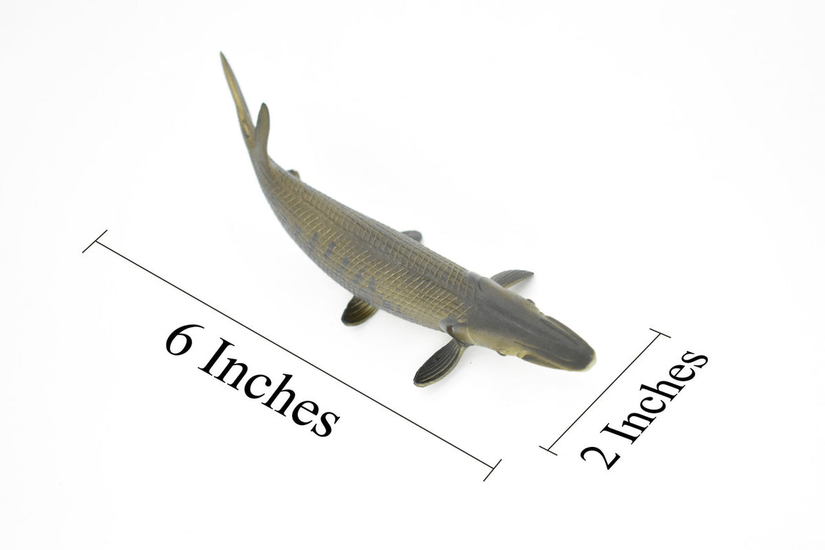 Alligator Gar, Fish, Atractosteus spatula, Toy, Very Realistic Rubber Figure, Model, Educational, Animal, Hand Painted Figurines,   6"   CH028 BB73
