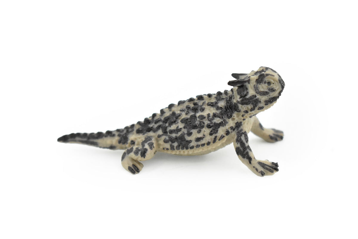 Horned Toad, Horny Toad Lizard, Rubber Reptile, Hand Painted, Educational, Realistic, Figure, Lifelike Model, Replica, Gift,    2 1/4 Inches 