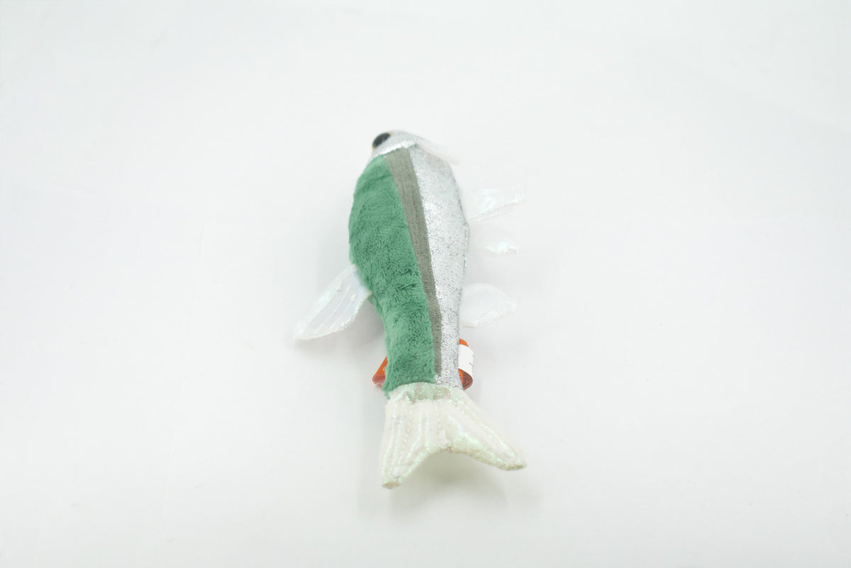 Fish, Minnow, Cyprinidae and Leuciscidae. Stuffed Fish, Educational, Realistic Hand Designed, Figure, Lifelike Figurine, Replica, Gift,       9"     F3414 B323