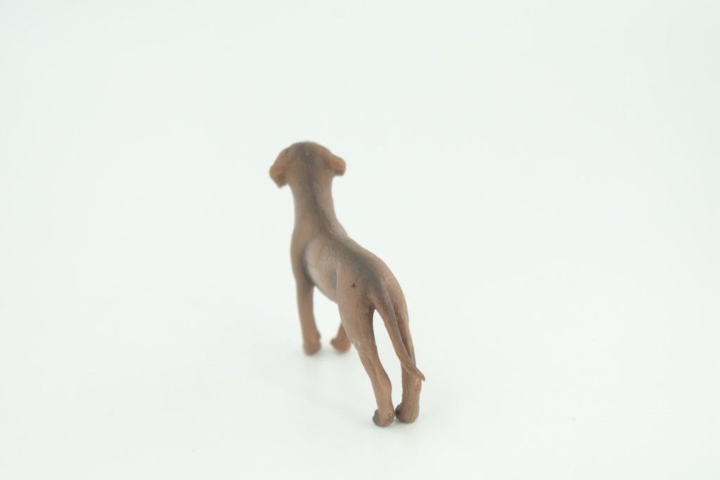 Rhodesian Ridgeback Dog, Rubber Canine, Hand Painted, Realistic Toy Figure, Model, Replica, Kids, Educational, Gift,  2 1/2 Inches. CH732 BB184