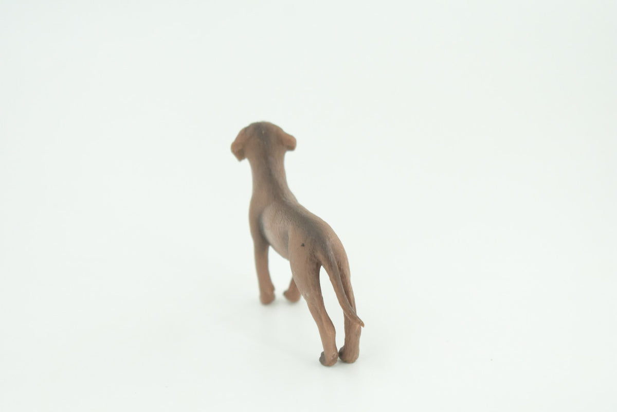 Rhodesian Ridgeback Dog, Rubber Canine, Hand Painted, Realistic Toy Figure, Model, Replica, Kids, Educational, Gift,  2 1/2 Inches. CH732 BB184