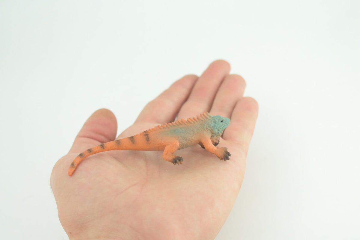 Iguana, Marine iguana, Lizard, Museum Quality, Hand Painted, Hard Rubber Reptile, Educational, Toy Figure, Diorama Model, Replica, Kids, Gift, 4 Inches. CH1056 BB218
