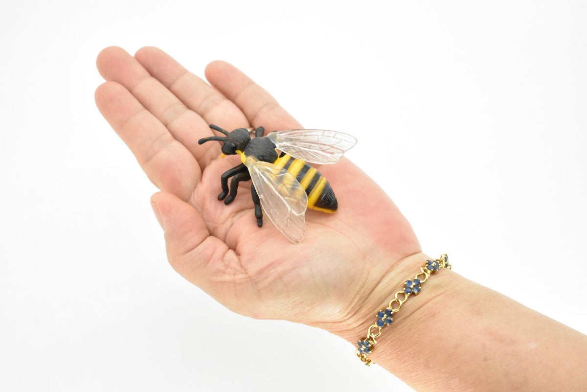 Bee, Anthophila, Honey bee, Very Realistic Rubber Design,  Educational, Hand Painted, Rubber Insect, Diorama Model, Kids, Toys,  3 Inches. 
