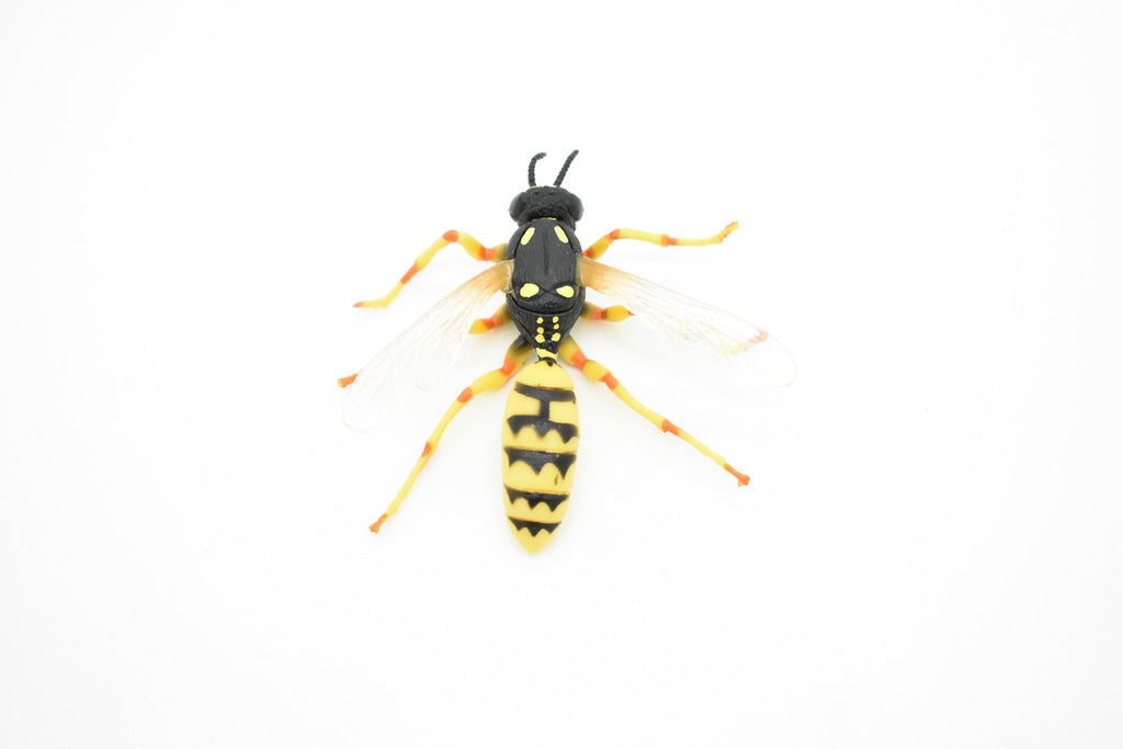 Hornet, Killer, Wasp, Insect, Museum Quality, Rubber Insect, Hand Painted, Realistic Toy Figure, Diorama Model, Kids, Educational, 3 1/2 Inches.