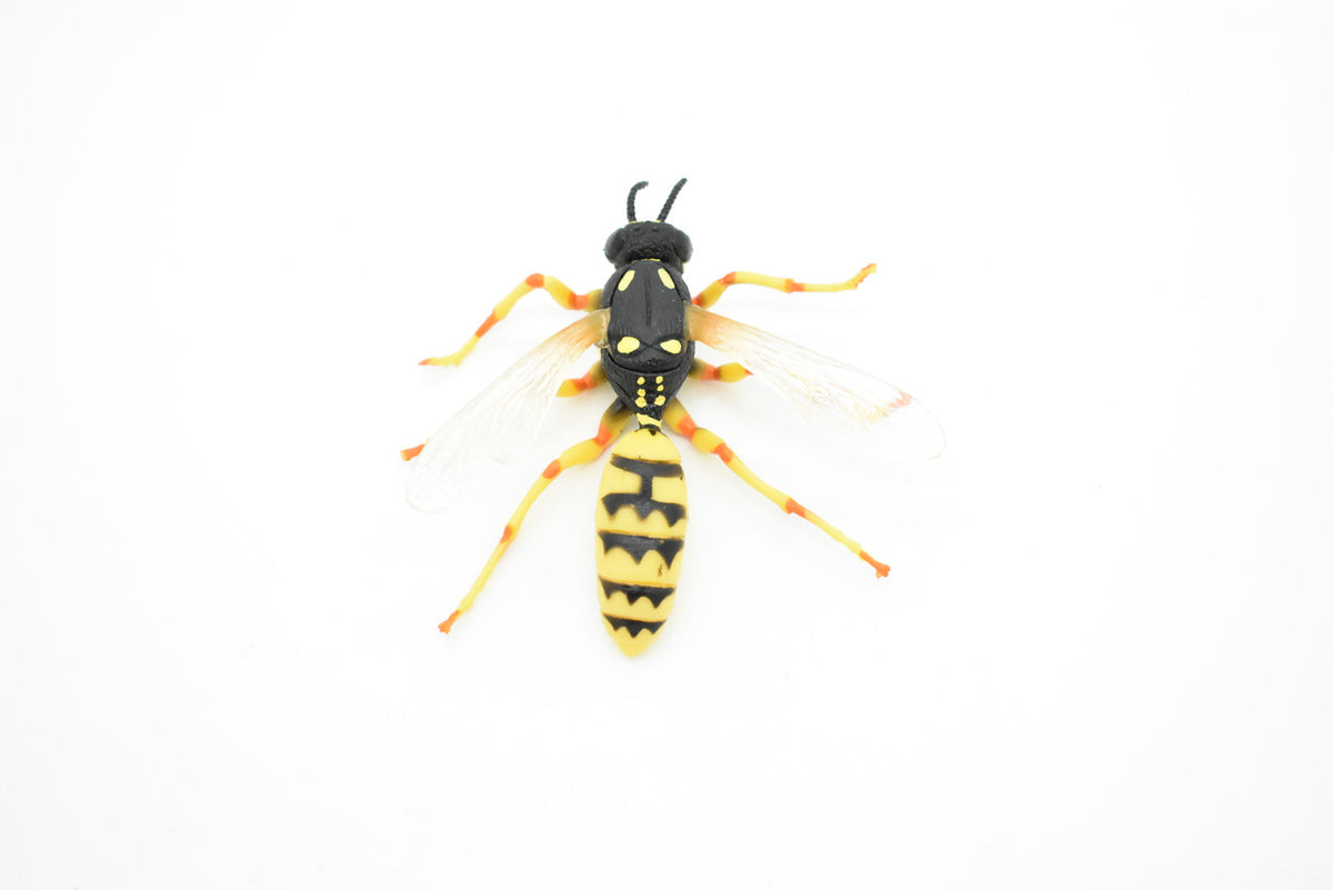 Hornet, Killer, Wasp, Insect, Museum Quality, Rubber Insect, Hand Painted, Realistic Toy Figure, Diorama Model, Kids, Educational, 3 1/2 Inches.