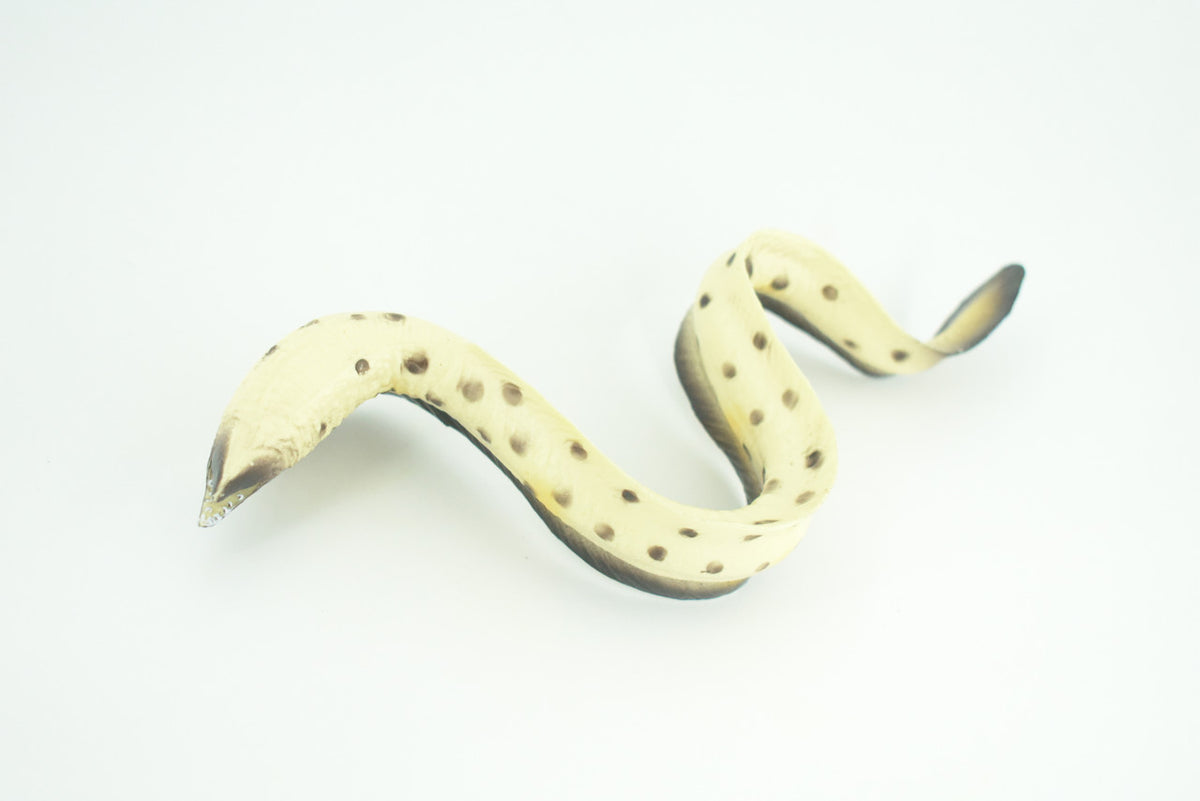 Moray Eel, Hand Painted, Museum Quality, Educational, Rubber Fish, Saltwater Eel, Realistic, Diorama, Toy, Kids, Gift,   9 Inches.  CH791 BB186
