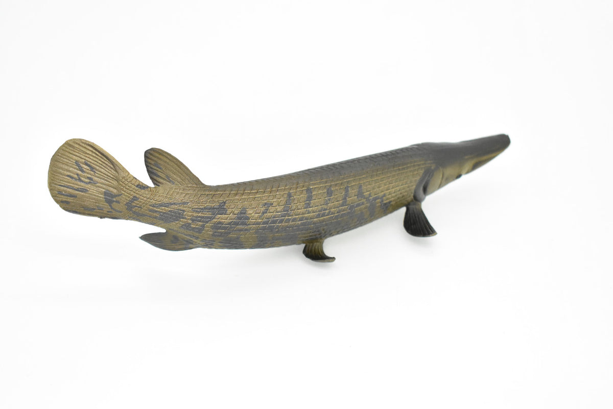 Alligator Gar, Fish, Atractosteus spatula, Toy, Very Realistic Rubber Figure, Model, Educational, Animal, Hand Painted Figurines,   6"   CH028 BB73