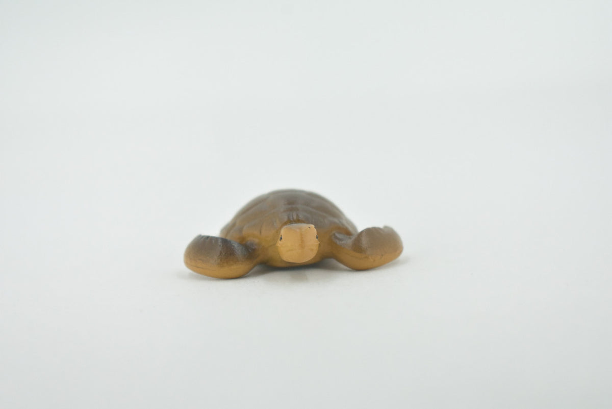 Turtle, Sea Turtle Baby, High Quality, Hand Painted, Rubber Reptile, Realistic Figure, Model, Replica, Toy, Kids, Educational, Gift,     2"    CH535 BB159