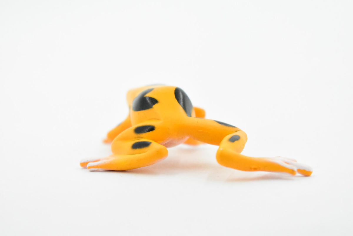 Frog, Orange and Black Poison Dart Frog, Plastic Toy, Realistic, Rainforest, Figure, Model, Replica, Kids, Educational, Gift,    3"    F4095 B54