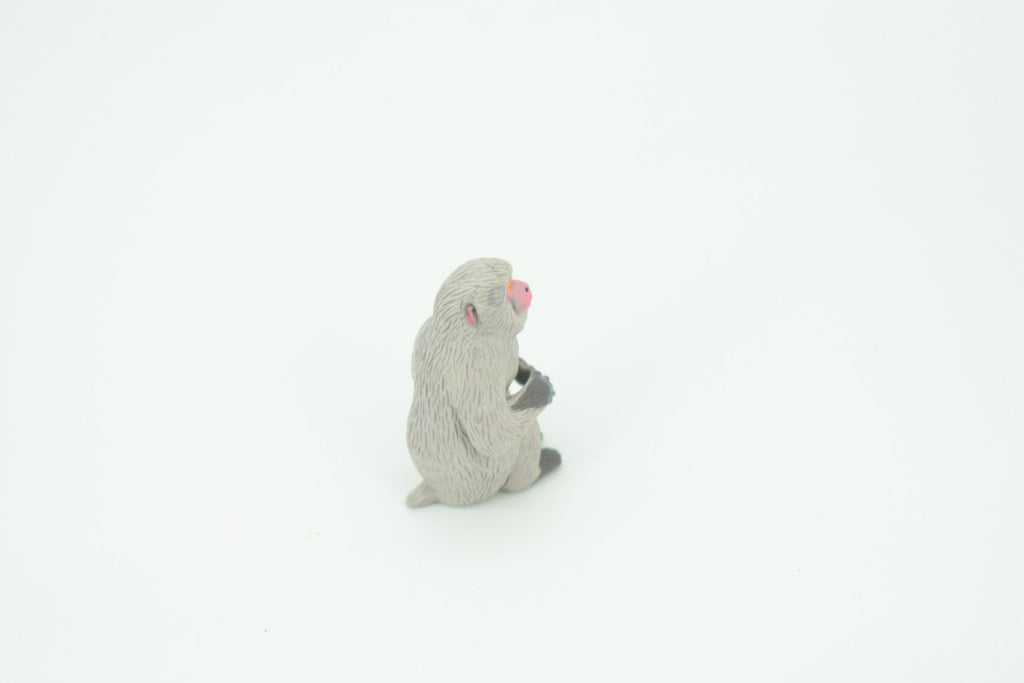 Japanese Macaque, Snow Monkey, Hand Painted, Educational, Rubber Primate, Realistic Figure, Lifelike, Gift,    1 1/2 "    SF59 B16