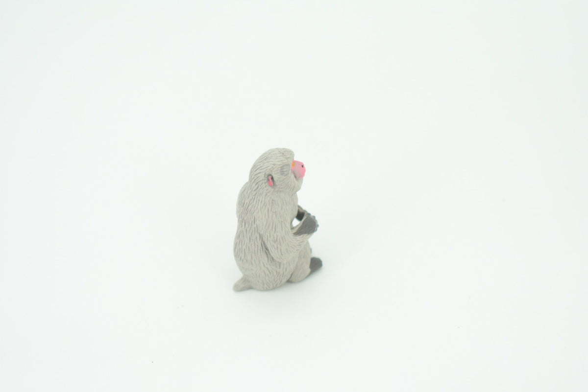 Japanese Macaque, Snow Monkey, Hand Painted, Educational, Rubber Primate, Realistic Figure, Lifelike, Gift,    1 1/2 "    SF59 B16