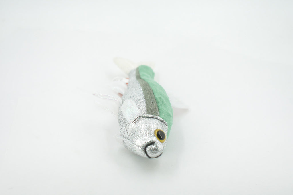 Fish, Minnow, Cyprinidae and Leuciscidae. Stuffed Fish, Educational, Realistic Hand Designed, Figure, Lifelike Figurine, Replica, Gift,       9"     F3414 B323