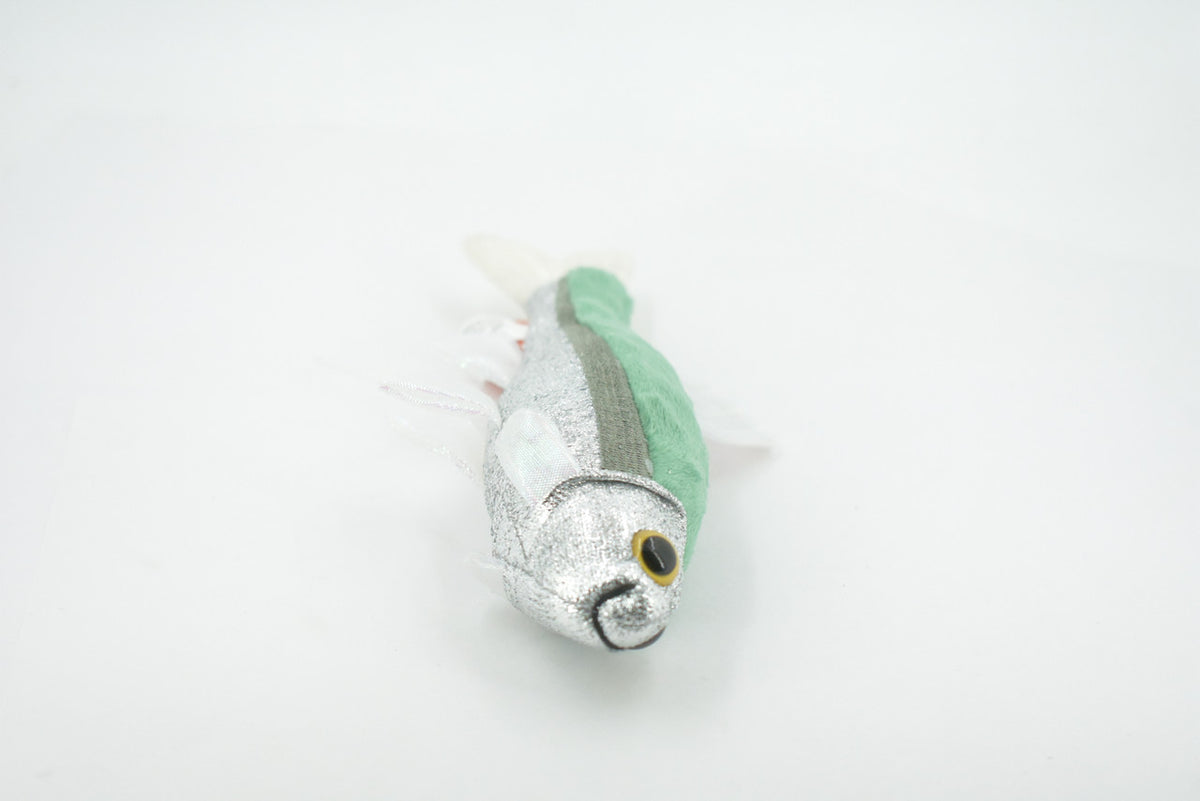 Fish, Minnow, Cyprinidae and Leuciscidae. Stuffed Fish, Educational, Realistic Hand Designed, Figure, Lifelike Figurine, Replica, Gift,       9"     F3414 B323