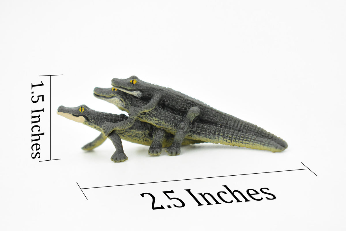 Alligator, 3 Juvenile Alligators, Rubber Toy Animal, Realistic Figure, Model, Replica, Kids Educational Gift,     2 1/2"    F1746 B77