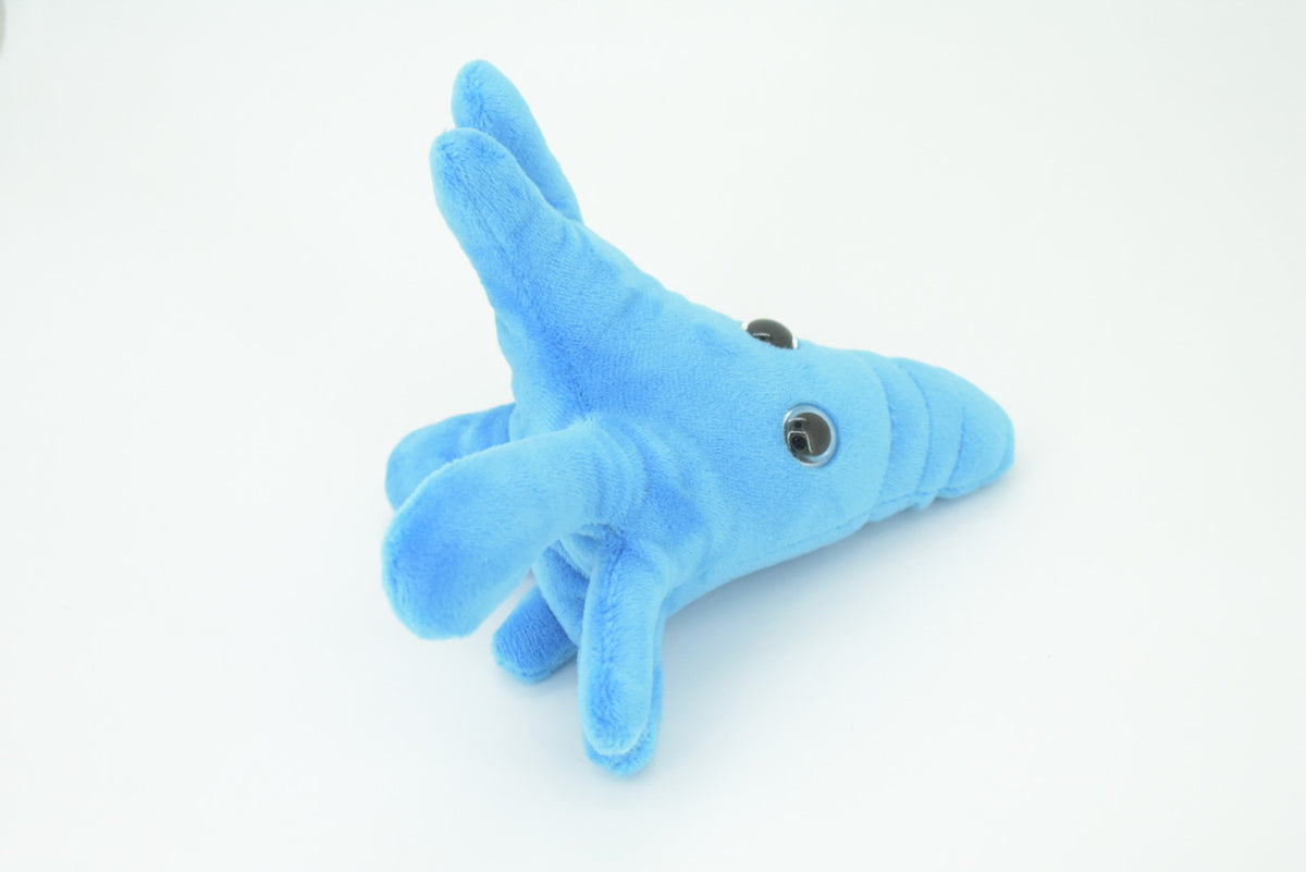 Amoeba, Microscopic creatures, Plush Amoeba proteus Design, Educational, Figure, Replica, Gift,    6"     GM01 B108