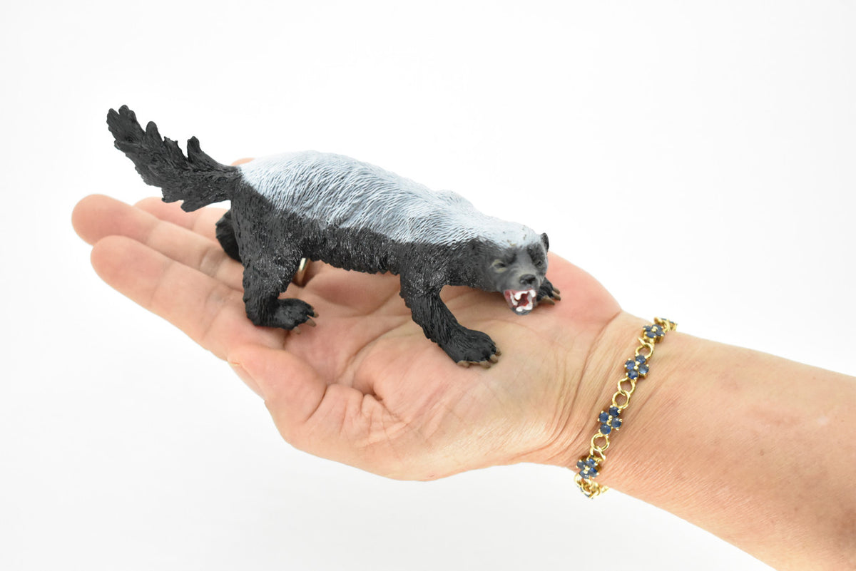 Honey Badger, Mellivora capensis, Museum Quality, Educational, Rubber Animal, Hand Painted, Realistic, Diorama Model, Toy, Kids,  5 Inches.